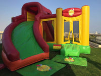 Inflatable/Slide Combo(6mx5m)