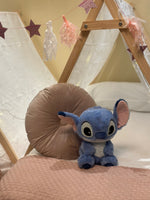 Teepee Tent
