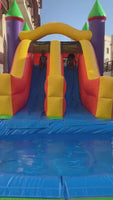 Inflatable/Twin Water Slide (7mx4.5mx5m)
