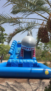 Inflatable/Shark Water Slide (13mx6mx6.5m)