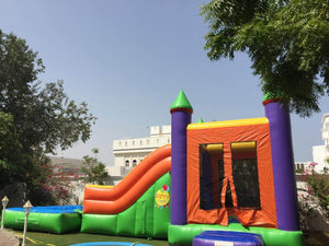 Inflatable/Twin Water Slide (7mx4.5mx5m)