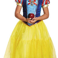 Luxury Snow Princess Costume