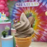 Ice Cream Machine Single Flavor