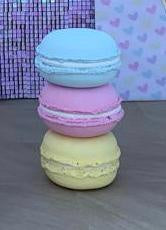 Macaroon Rental