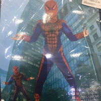 SpiderMan Costume