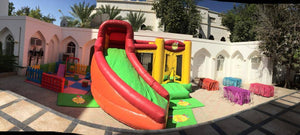 Inflatable/Slide Combo(6mx5m)