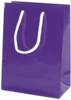 Paper Gift Bag With Handle Value Pack