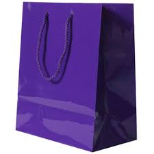 Paper Gift Bag With Handle Value Pack