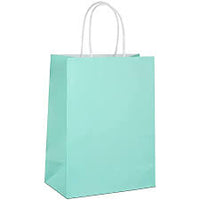 Paper Gift Bag With Handle Value Pack
