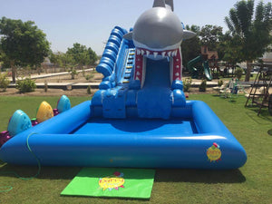 Inflatable/Shark Water Slide (13mx6mx6.5m)