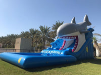 Inflatable/Shark Water Slide (13mx6mx6.5m)
