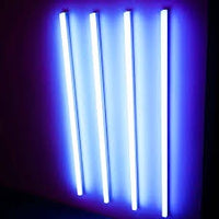 Rental LED Black Light
