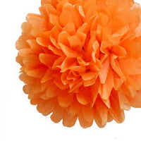 Pompoms