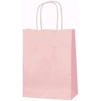 Paper Gift Bag With Handle Value Pack