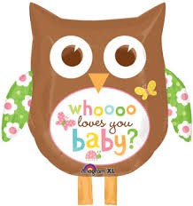 Owl Loves your Baby Balloon 27 X 26In